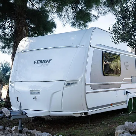 Kemp Garden Brac Mirce