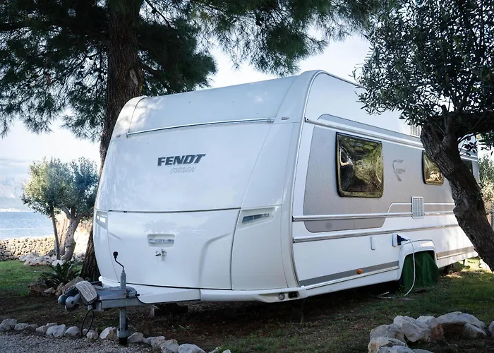 Kemp Garden Brac Mirce